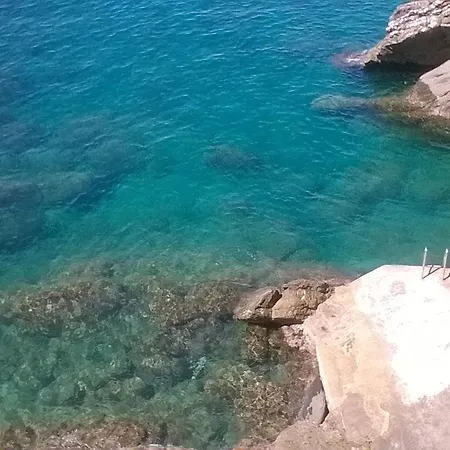 Rosa Di Portofino *