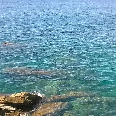 Rosa Di Portofino *