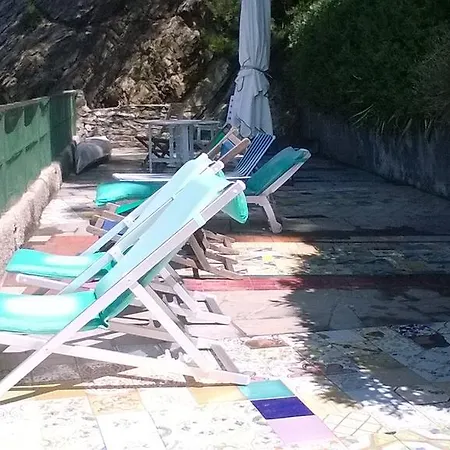 Rosa Di Portofino ゾアーリ