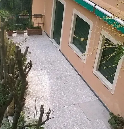 Rosa Di Portofino